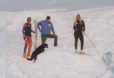The American Sheep Rescue American skiers find missing sheep!