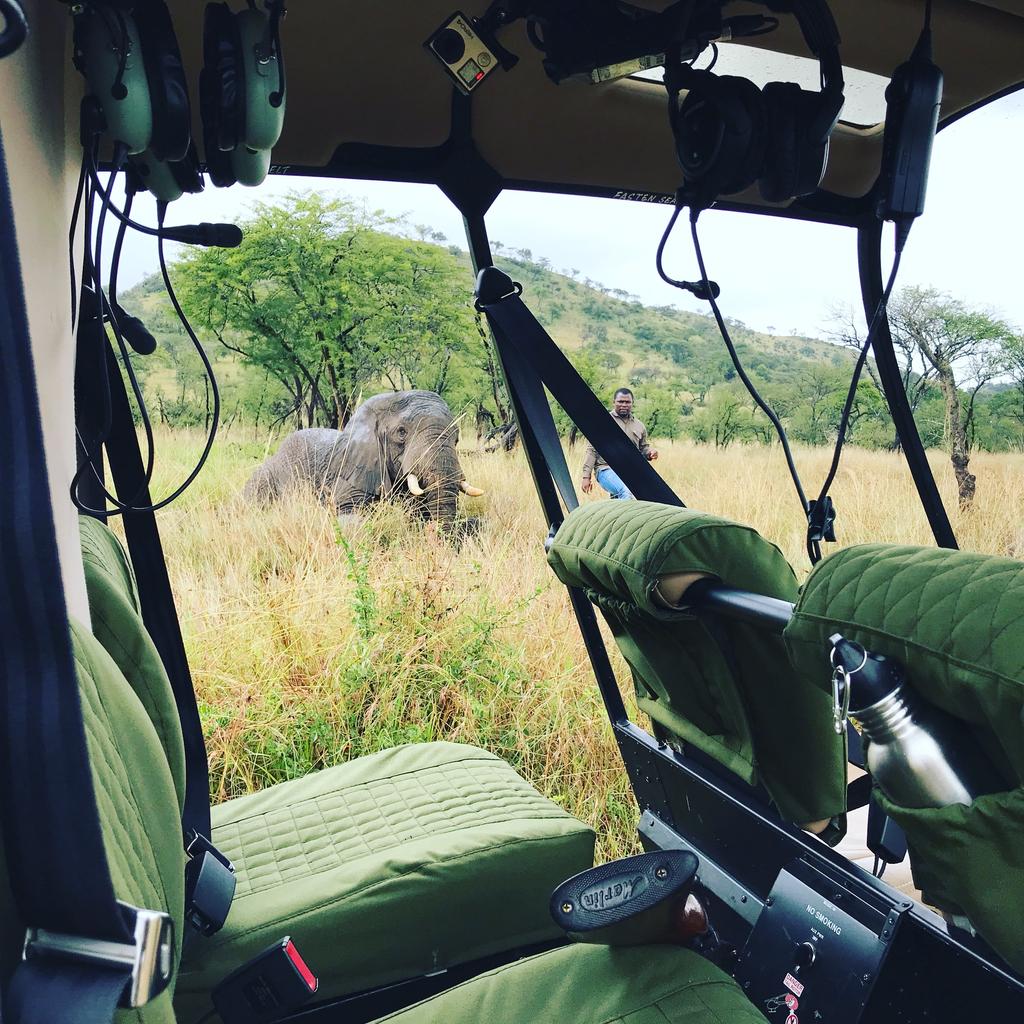 MEP was able to offer our collaring expertise and the Karen Blixen Camp Ree Park Safari helicopter to collar 12 elephants supported by the Grumeti Fund in Tanzania.