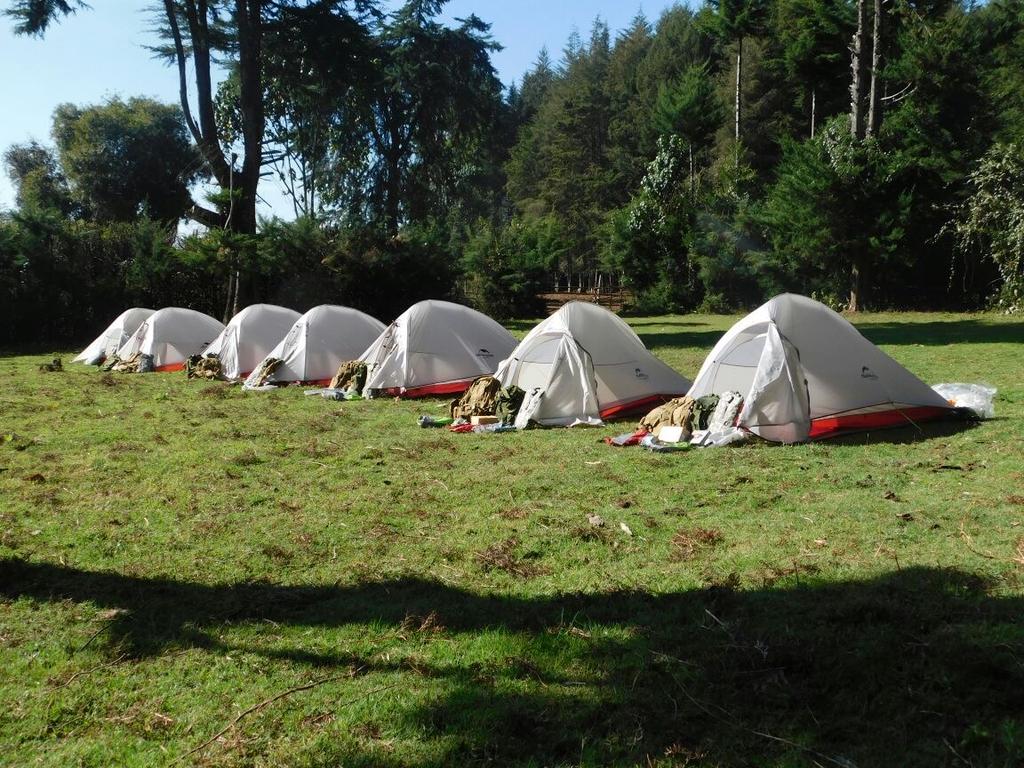 The DSWT Mau Forest team s tents set up at