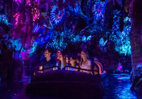 Shows and Disney Attractions: Our alumni will perform for the first time at Disney s Animal Kingdom, home of incredible shows and brand new