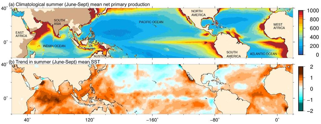 Warming Marine Primary Production western