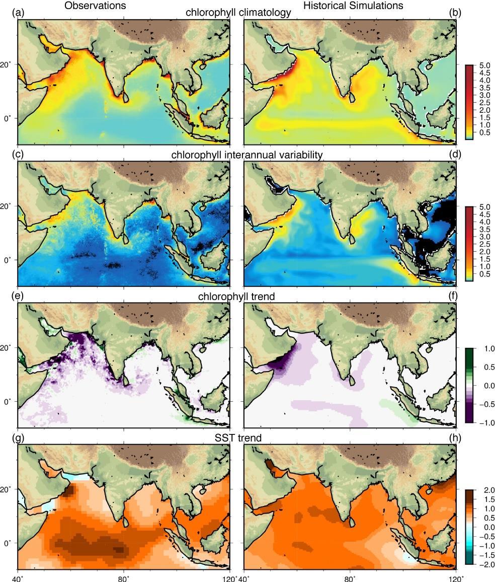 Reduction in Marine Primary Production Chlorophyll trends in observations and simulations Observations: Merged