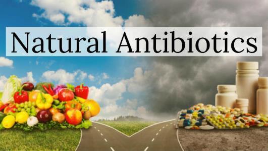 46 Winter is associated with flu and cold in our minds. Antibiotics are one of the most prescribed medicines in cold seasons.