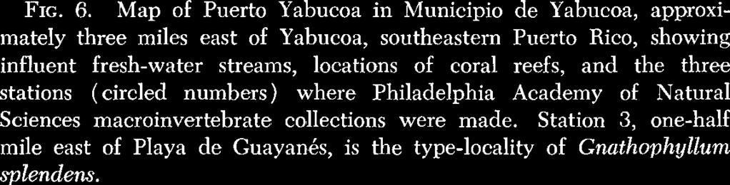 stations (circled numbers) where Philadelphia Academy of Natural Sciences macroinvertebrate collections were made.