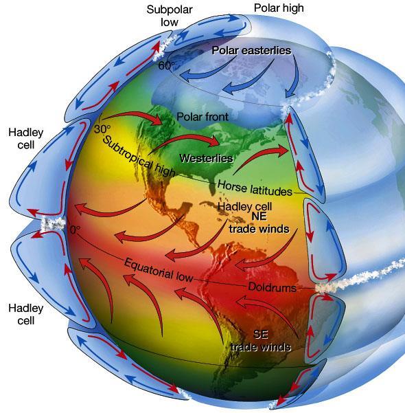 Types of Global Winds Horse latitudes: calm areas at 30 Prevailing Westerlies: Strong winds located in the belt from 30-60 latitude in both hemispheres. Originate in horse latitudes.