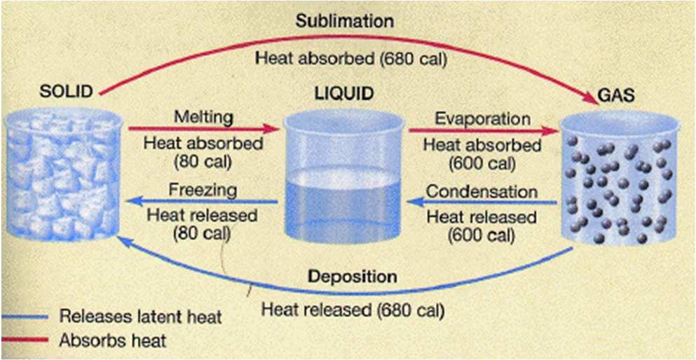 The Energy involved with WATER VAPOR To melt ice (solid to liquid) = 80 calories / gram To heat water 1 o C = 1 calorie / gram To go from 100 o