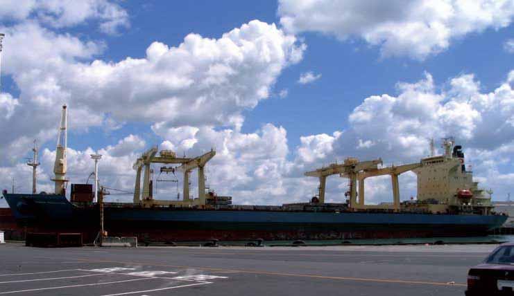 Gantry crane kills A cargo ship s boatswain died of massive injuries after becoming trapped in a 15 cm gap between a moving gantry crane and the coaming of a cargo hatch.