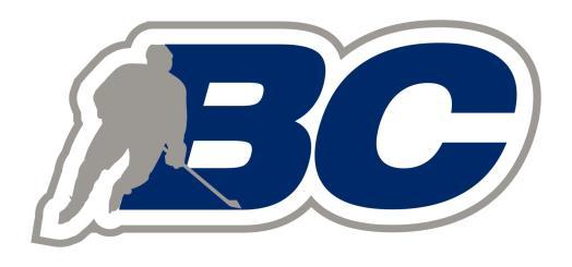BC Hockey Governance Restructuring Model for Program Committees Background BC Hockey has a strong history of organizational structure, governance and operation dating back to the original founding of