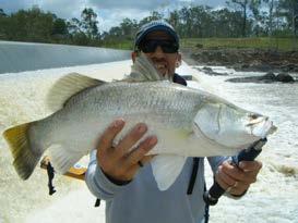 However, just like any barra fishing, knowing where the fish are during these high water periods is the key. It s all about location, location, location.