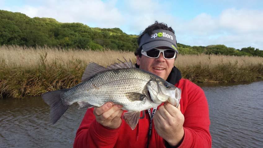 Estuary Perch Love GrubZ By Luke Smith Winter and early spring is a great time for anglers in the southwest of Victoria as all of our estuary species school up to spawn.