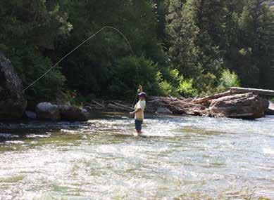 The Henry s Fork River is a classic wild trout fishery, world-renowned for its rainbows and browns.