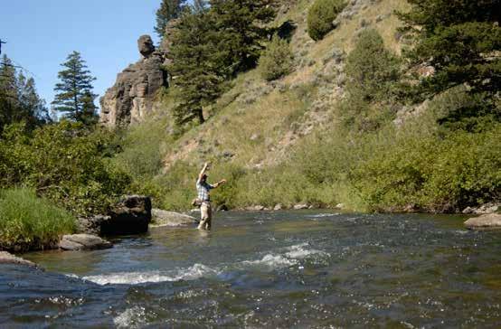 The South Fork of the Snake River is a tailwater fishery that flows out of Palisades Dam on the border of Wyoming and Idaho.