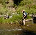 the finest cutthroat trout fisheries in the West.
