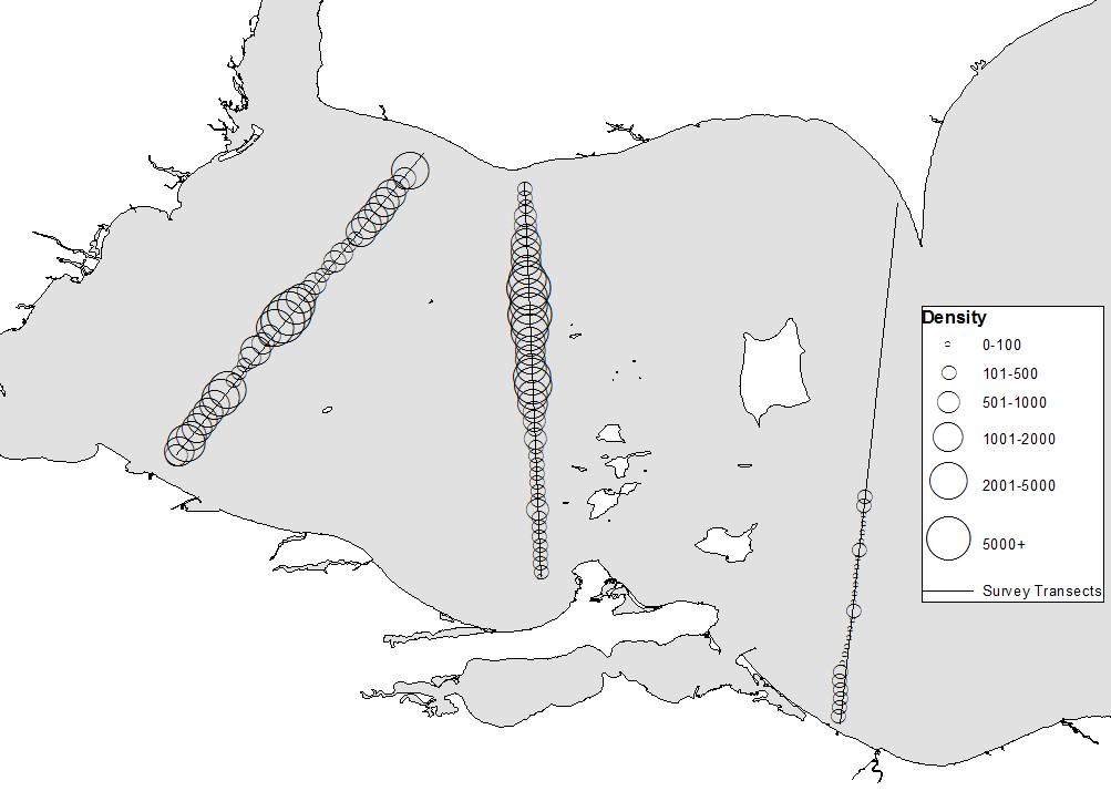 Figure 4.3.1. Spatial abundance of forage fish along three western basin hydroacoustic transects, July 2011.