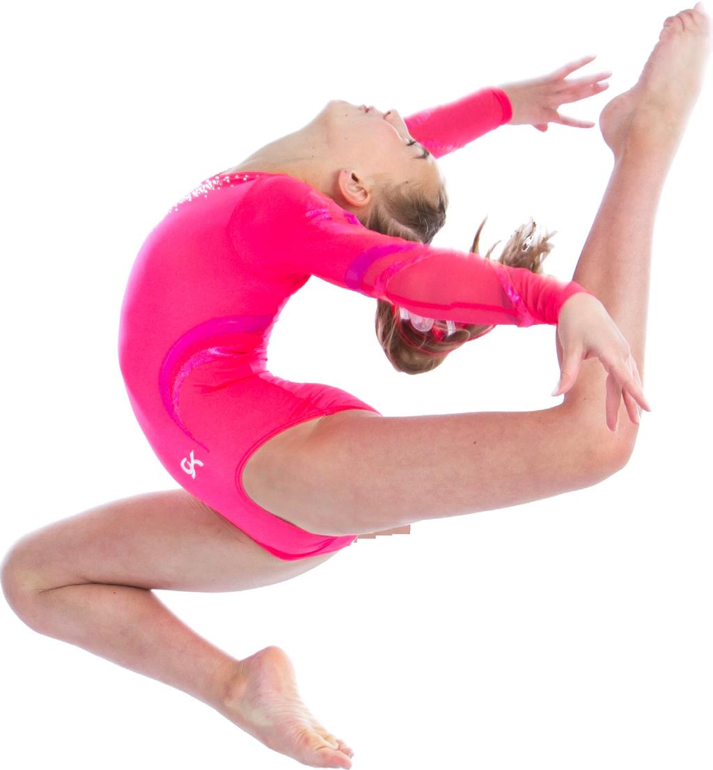GYMNASTICS GYMNASTICS ALL NEW FOR 2019! GYMNASTICS Gymnasts of all abilities have a great opportunity to have fun while developing a basic foundation for the sport of gymnastics.