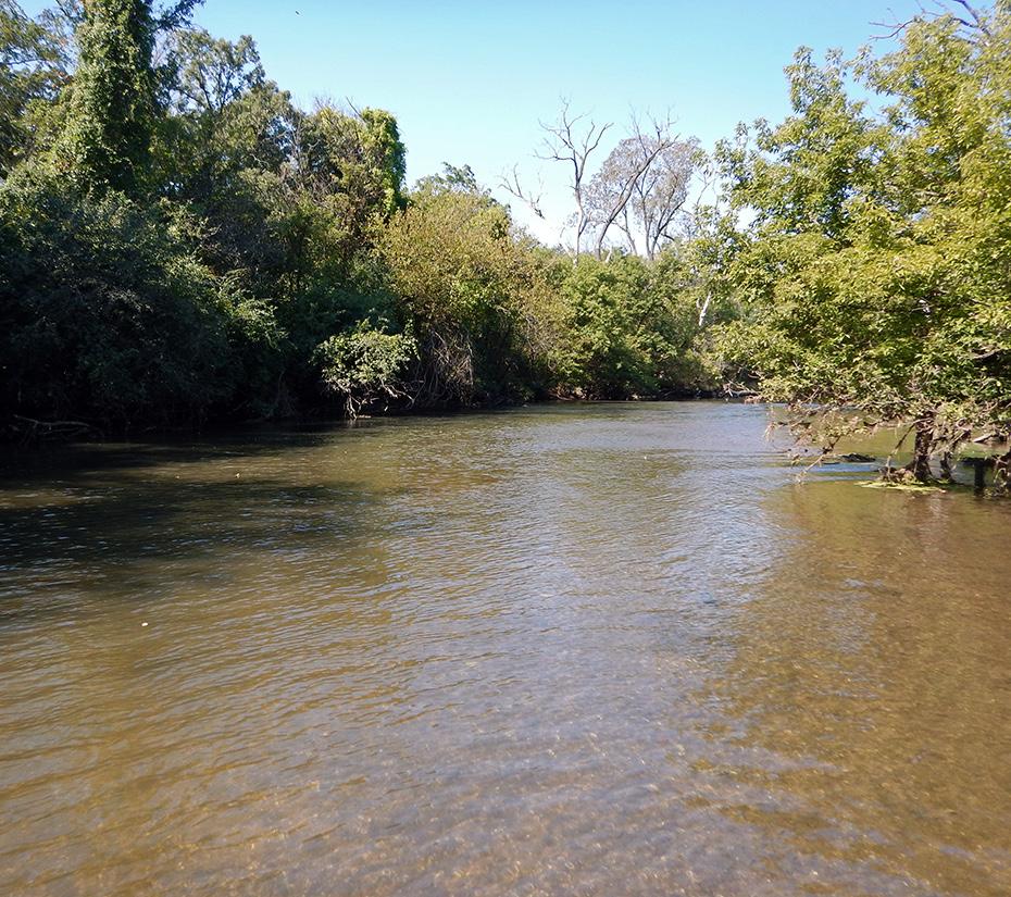 Photograph of Salt Creek at Bemis Woods, Cook PLATE 6.