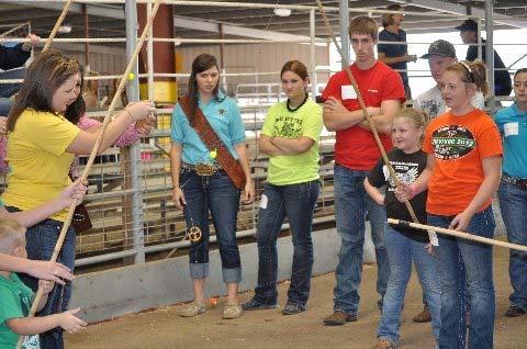 attended demonstrations on clipping, grooming, breed standards, and showing.
