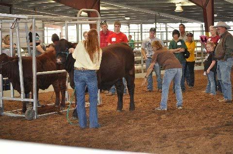 showmanship with one-on-one assistance offered by former NJSGHS Showmanship winners and