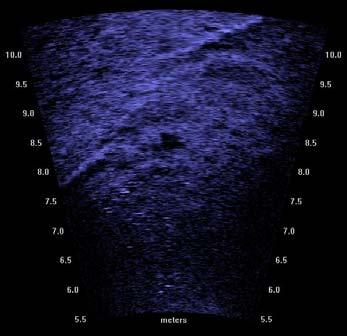 This condition existed in areas of the cap with sloping bathymetry. EAST 1 2 3 4 5 WEST Image 4: Sonar Images of armored cap.
