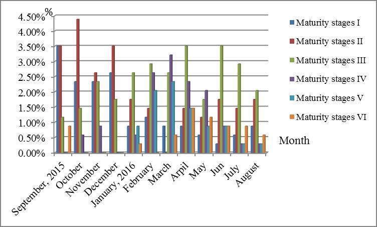 96 4.50% Months Fig. 2 Seasonal variations of maturity stages of Terapon jarbua. Table 3 Month 2015 Seasonal variations of maturity stages of Terapon jarbua.