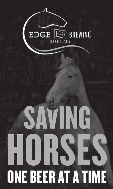 saving horses and