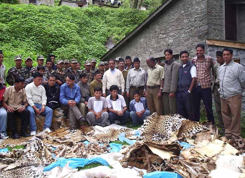 SPECIAL FEATURE Combatting illegal wildlife crime in Nepal Diwakar Chapagain Program Coordinator, Wildlife Trade Control Tiger parts seized in Langtang National Park International trade in wildlife,
