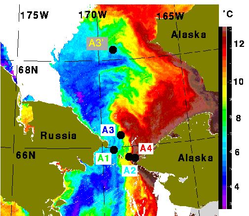Overview of Bering Strait measurements 4 MODIS SST 26 th Aug 2004 1990 - present == year-round moorings in US mid-channel (A1, A2, A3, A3 ) ==