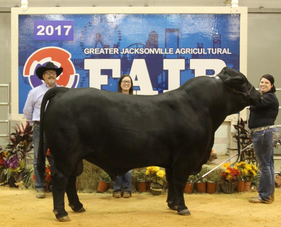 OPEN BRANGUS SHOW This is an IBBA Southeast Region Points Show. Livestock Chairman: Dr. Howard Acree, Jr.