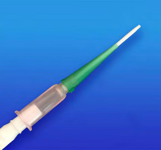 10. Once correct catheter placement has been verified, gently remove the animal by loosening the suture material.