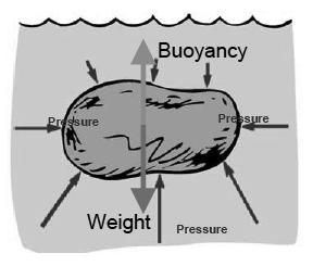 Consider a large rock: The bottom of the rock is at a lower depth, so it feels more pressure