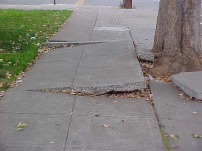 of sidewalk damage is
