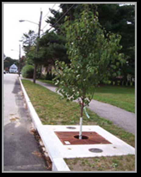 25 Example of Road Design Element 3.18 Street Trees Suggested Guidelines 1. Tree Spacing: Trees should be installed every 40 feet along both sides.