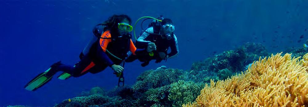 DIVING SERVICES, MANADO Single Dive US$ 55 Inclusions: 1 guided morning dives by boat; cylinders & weights; applicable government taxes Morning Dive Trip US$ 86 Inclusions: Up to 2 guided morning