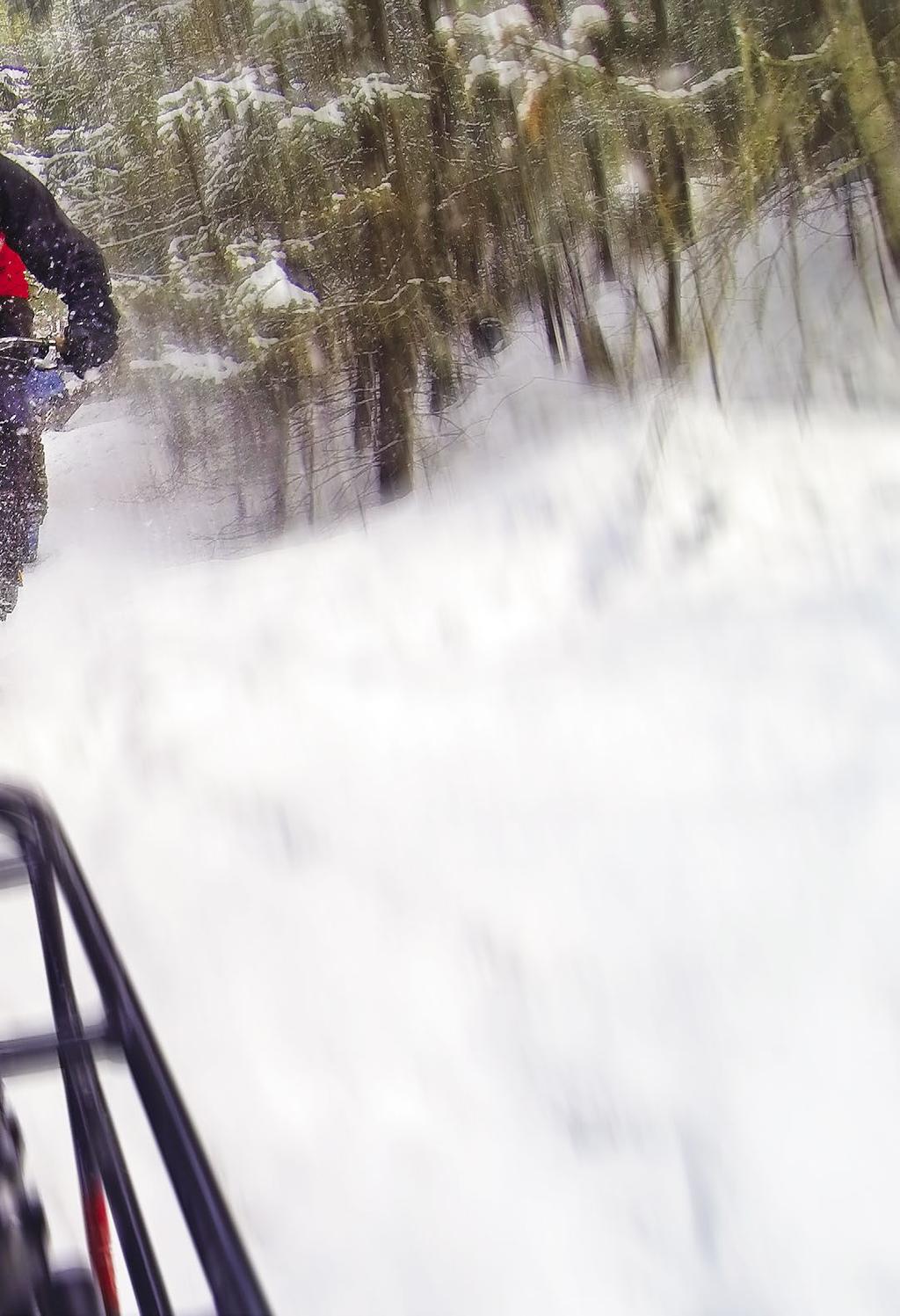 Rolling on extra-wide, low-pressure tires, bikers zip through the woods on snow-covered trails.