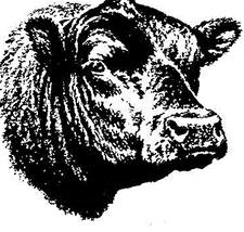 Union County Bull Sale March 9, 2019 43 BULLS All bulls have passed a Breeding Soundness Evaluation within 45 days of the sale BREEDS REPRESENTED: 32 Angus, 4 Charolais, 3 Sim/Ang, 2 Hereford, 1