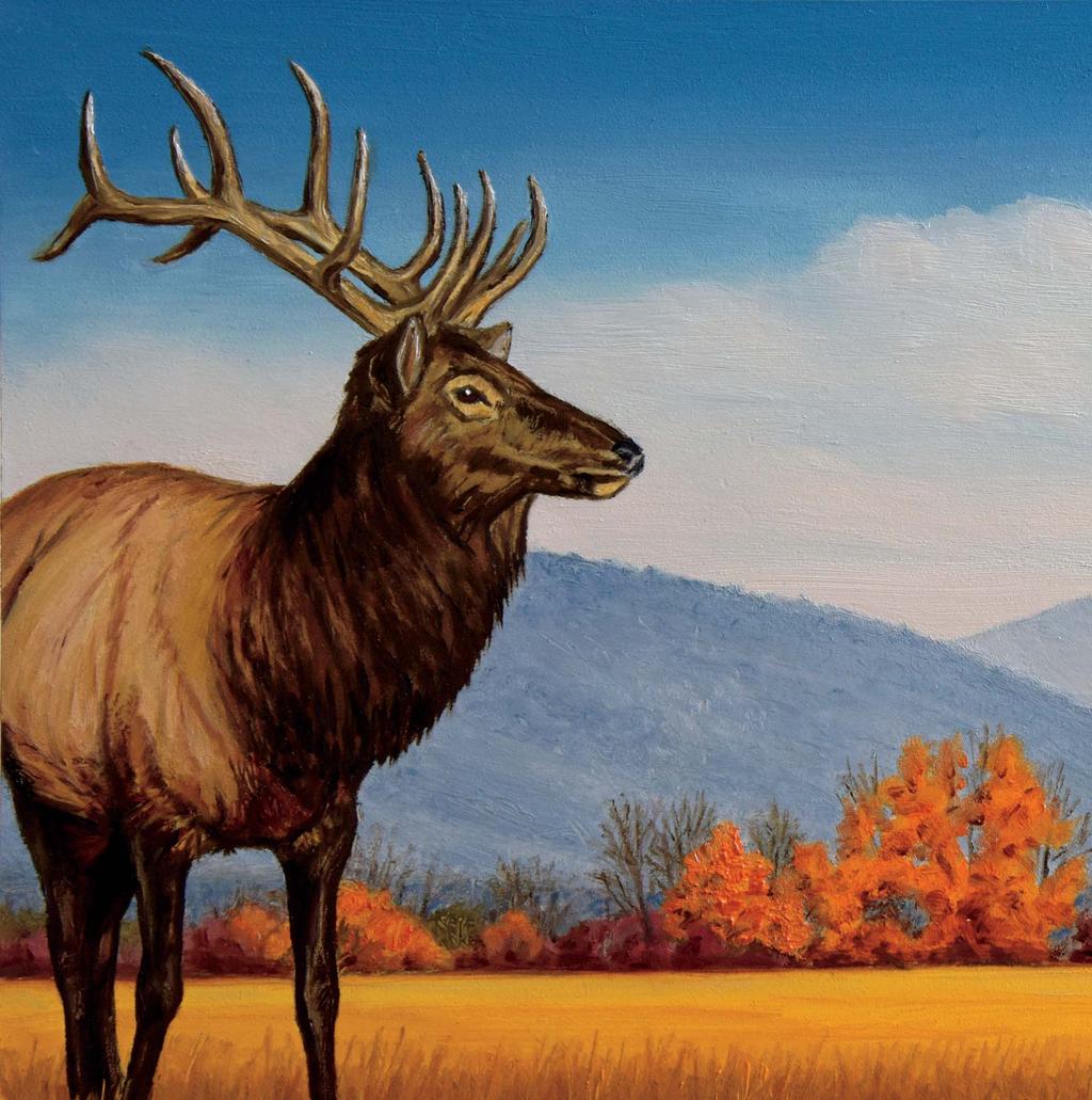 Fill Your Plate Rhea Knight s artwork will be featured on DNR s new elk
