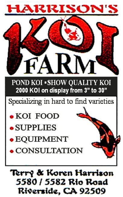 Importers of high quality Japanese koi.