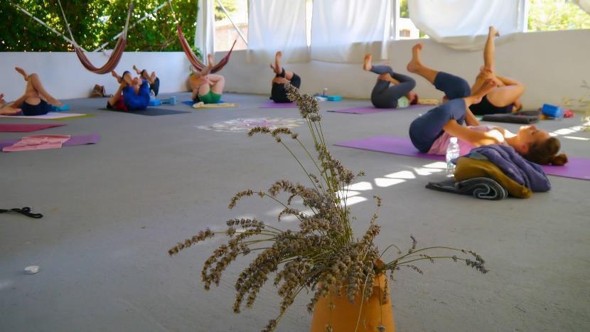 Yoga styles Morning Class - Ashtanga Yoga/Vinyasa Flow Morning class will either be a Led