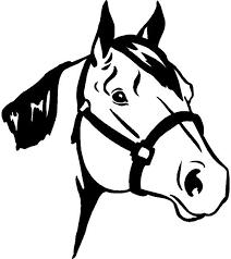2018 104 th/ Annual Gloucester Show Friday 16 th March Saturday 17 th March HORSE & RING PROGRAMME All Competitors/Exhibitors compete at their own risk & must complete & sign Indemnity & Waiver Forms