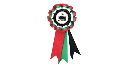 5 2066 UAE Flag Rosette with pin Size: