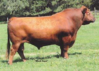 (see page 6) RED HAMCO PACKER 133Y 1 SON SELLS Lot 204 RED HAMCO PACKER 227E DSH 227E 1988895 February 23, 2017 (AI) RED MESSMER PACKER S008 RED MESSMER JOSHUA 019P RED HAMCO PACKER 133Y RED MESSMER
