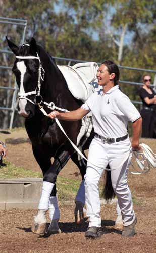 AVA 2010 TRAINER OF THE YEAR: INGRID HAMAR Ingrid Hamar, the American Vaulting Association s 2010 Trainer of the Year, has trained and sold more high-quality vaulting horses than anyone else in the