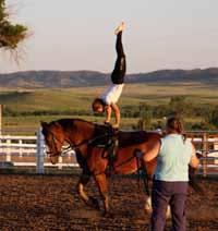 the horse (and open horse time for individual practice) by award winning coaches including renowned performance expert and clinician Nancy Stevens-Brown and the fabulous and fun