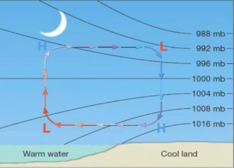 Two Local Winds Land Breeze Occur during the night Land Cool - high