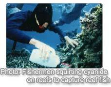 Marine Few endangered marine species but changing rapidly technology and