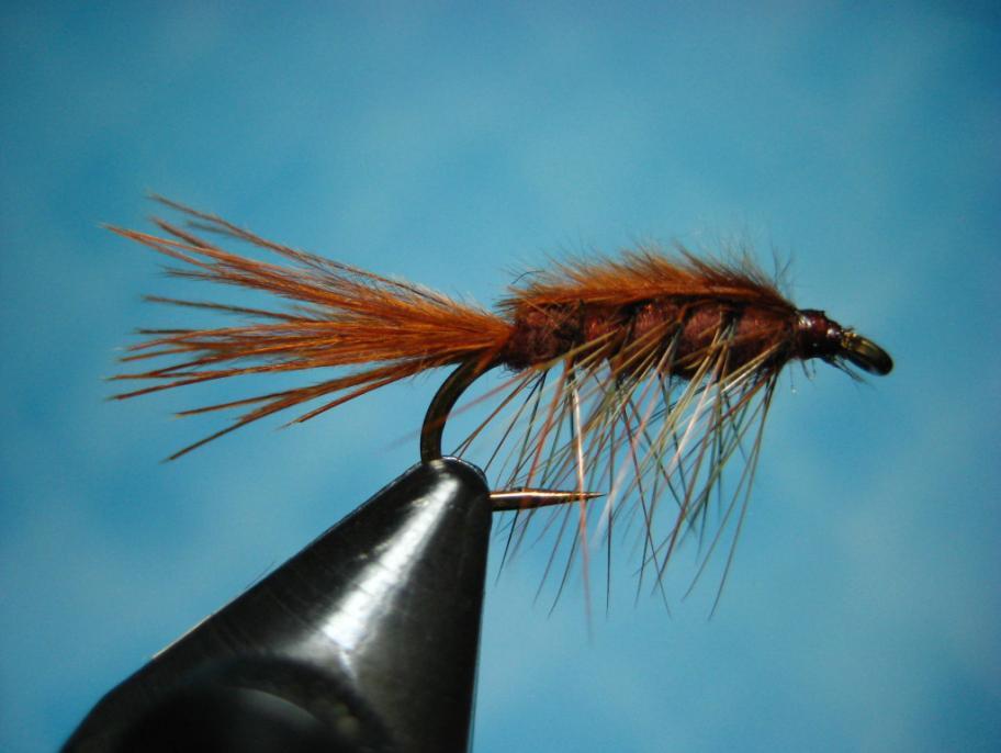 Newsletter of the Truckee River Flyfishers Page 5 STILLWATER NYMPH This easy to tie pattern was designed specifically for stillwater by Denny Rickards of southern Oregon.