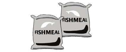 FISHMEAL Further price declines likely In the view of the very limited demand for fishmeal in China, partly caused by lower demand from the aquaculture industry because of the extremely cold winter,