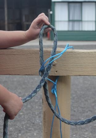 THE QUICK RELEASE KNOT When tying horses we use a quick release knot because