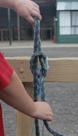 Step 3: Create a new loop with the leadrope in your right hand and slip this