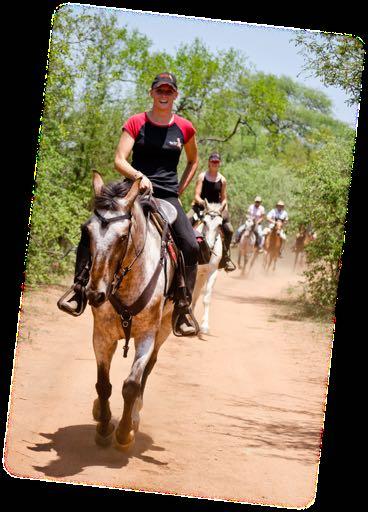 Our Living with Horses on Safari is a project that allows volunteers to experience African